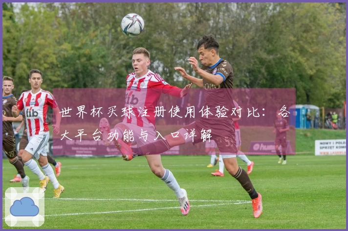 世界杯买球注册使用体验对比：各大平台功能与入口详解