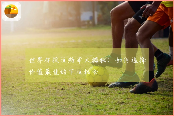 世界杯投注赔率大揭秘：如何选择价值最佳的下注机会