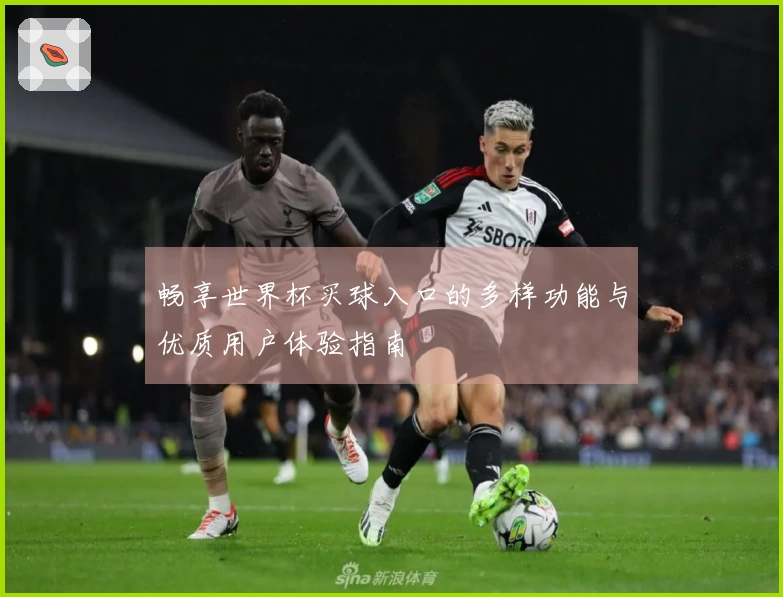 畅享世界杯买球入口的多样功能与优质用户体验指南