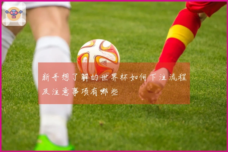 新手想了解的世界杯如何下注流程及注意事项有哪些