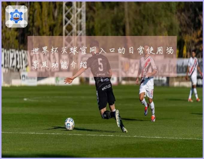 世界杯买球官网入口的日常使用场景及功能介绍