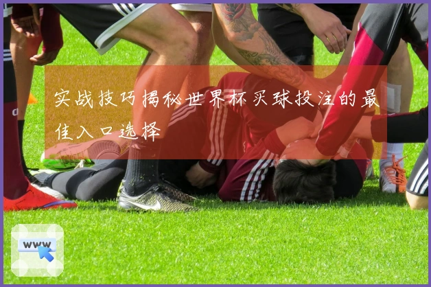 实战技巧揭秘世界杯买球投注的最佳入口选择