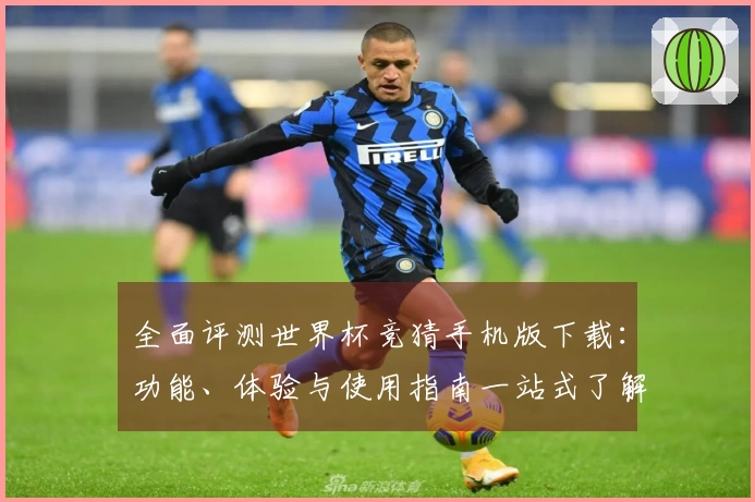 全面评测世界杯竞猜手机版下载：功能、体验与使用指南一站式了解