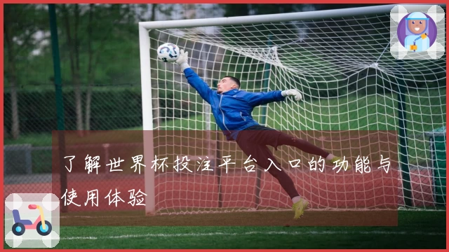 了解世界杯投注平台入口的功能与使用体验