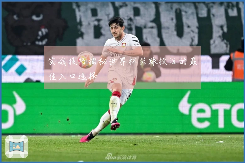 实战技巧揭秘世界杯买球投注的最佳入口选择