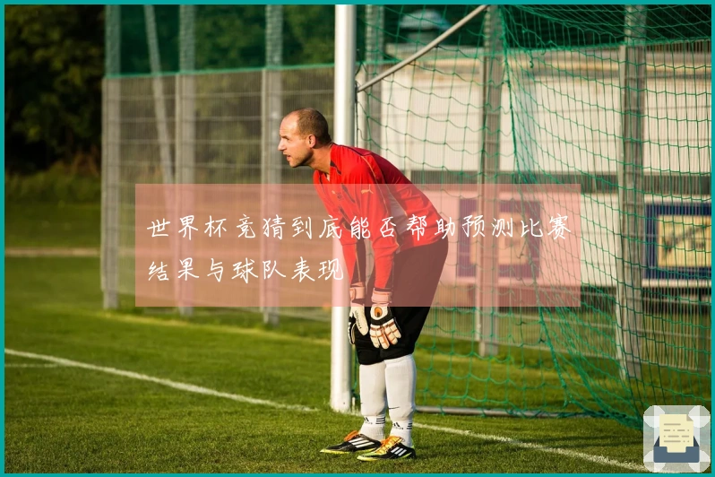世界杯竞猜到底能否帮助预测比赛结果与球队表现